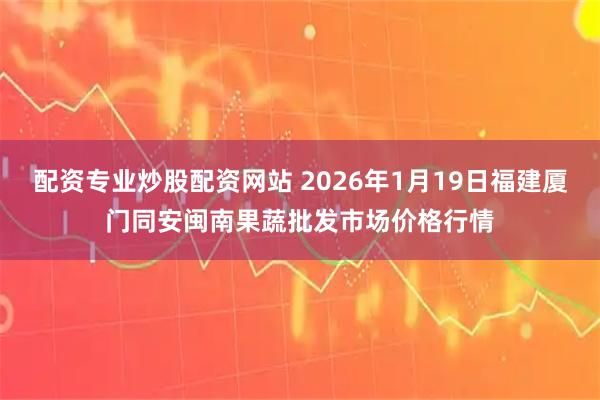 配资专业炒股配资网站 2026年1月19日福建厦门同安闽南果蔬批发市场价格行情