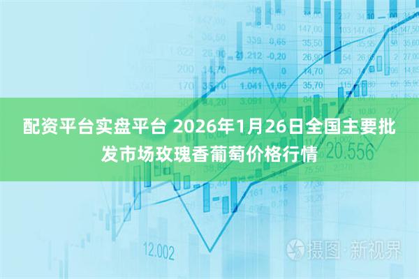 配资平台实盘平台 2026年1月26日全国主要批发市场玫瑰香葡萄价格行情